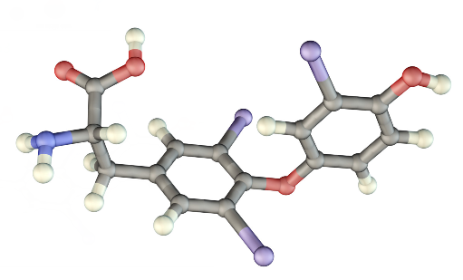 三碘甲状腺原氨酸T3（T3-BSA）抗原