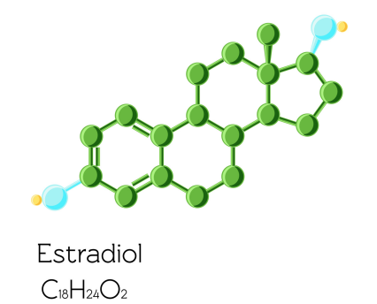 雌二醇（E2）抗原