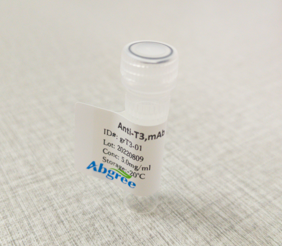 三碘甲状腺原氨酸(T3)抗体