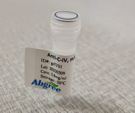 四型胶原C-IV抗体