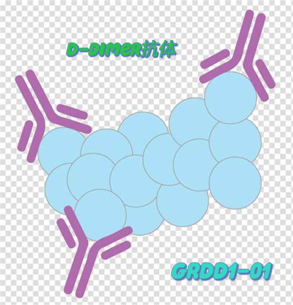D-dimer抗体