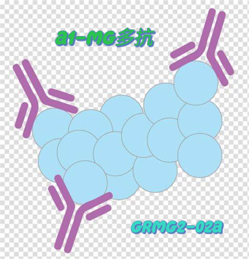 α1-MG多抗